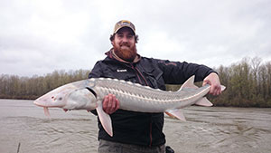 Clayton holding a huge white sturgeon Fishing Report Canada