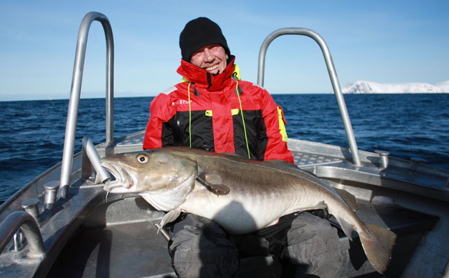 Happy angler holding is massive cod up Fishing report Norway