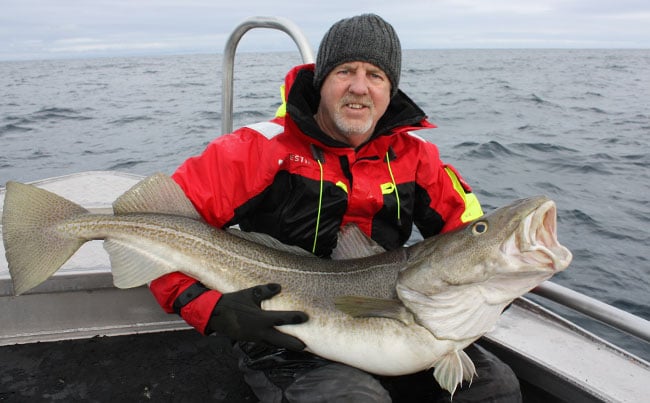 Man holding a cod for Fishing report Norway at the wonderful Soroya