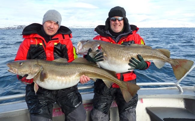 Fishing report Norway Head guide with angler double Cod