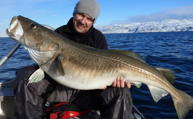 Stunning Fishing report Norway of the mountains