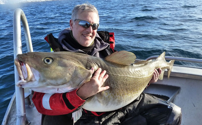 Fishing report Norway full of cod this size