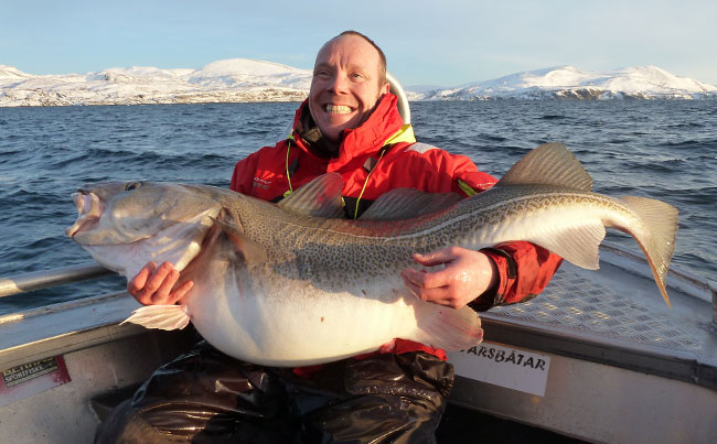 One of the best pictures of these huge Cod Fishing report Norway