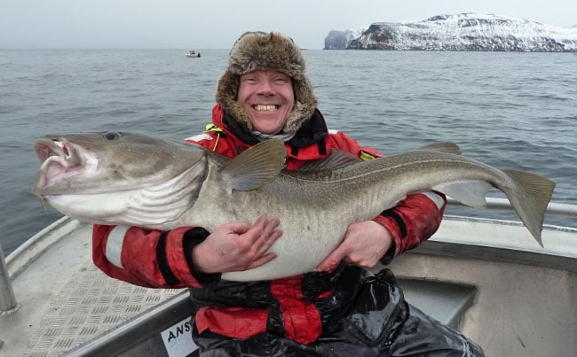 Caught on a Big Bob lure full details in this Fishing report Norway