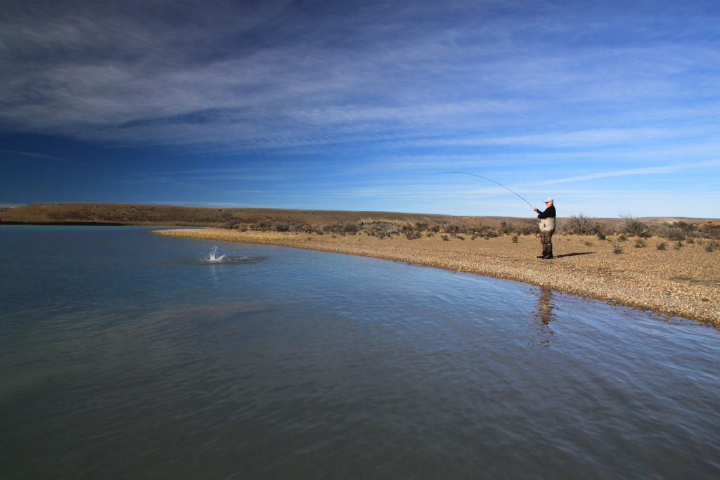 customer playing a steelhead on the santa cruz river argentina