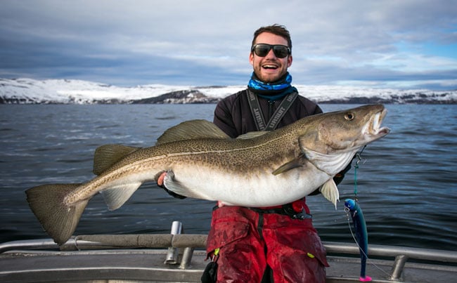 Guide Johan with a massive Cod holding it for Norway Fishing Report
