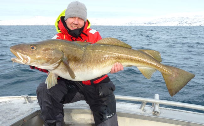 Head guide Paul Stevens writes for Norway Fishing Report
