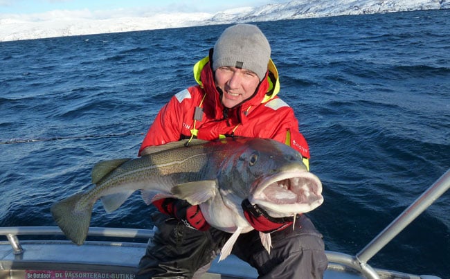 Norway Fishing Report of some very big Cod