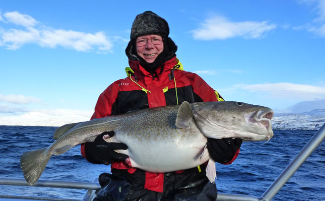 Skrei Cod fishing Norway Fishing Report