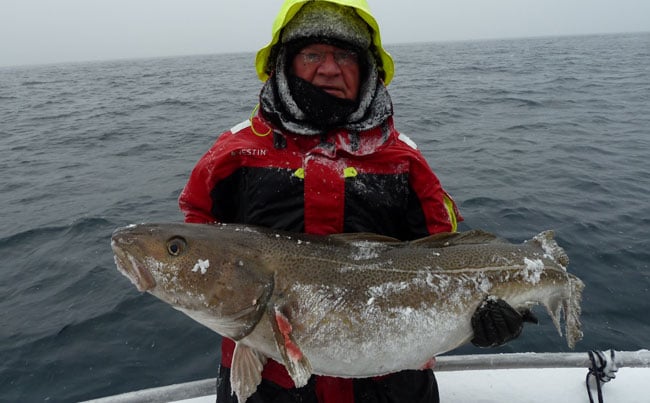 it was a very cold Norway Fishing Report that day