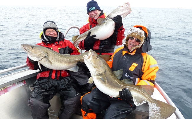 Amazing Group Cod fishing Norway Fishing Report