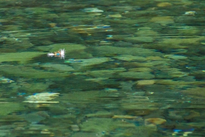 Salmon Fly Fishing