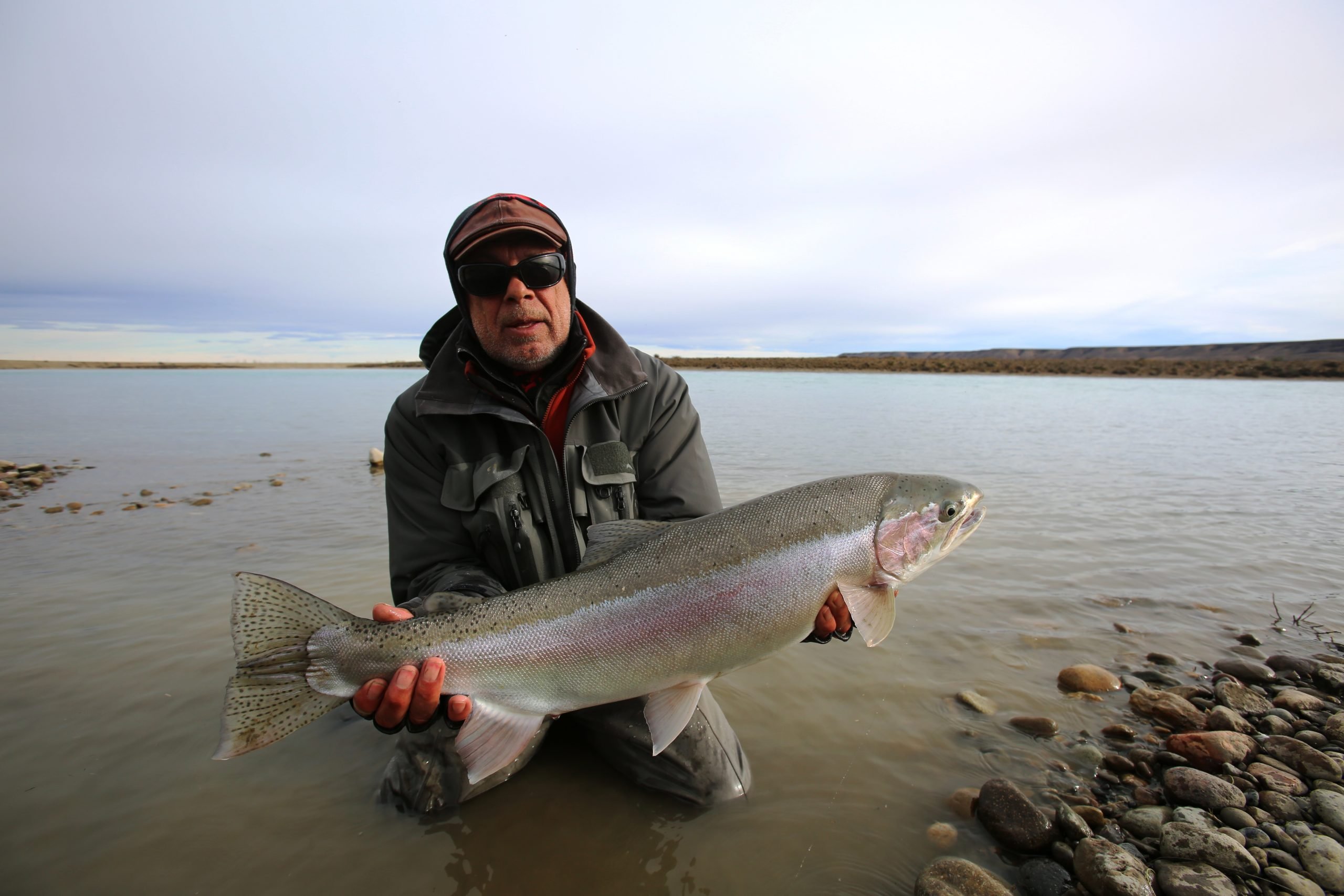 Steelhead Santa Cruz