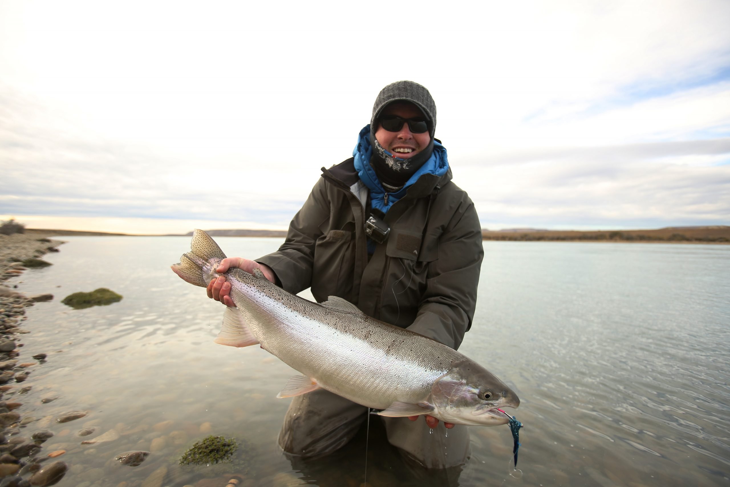 Steelhead Santa Cruz