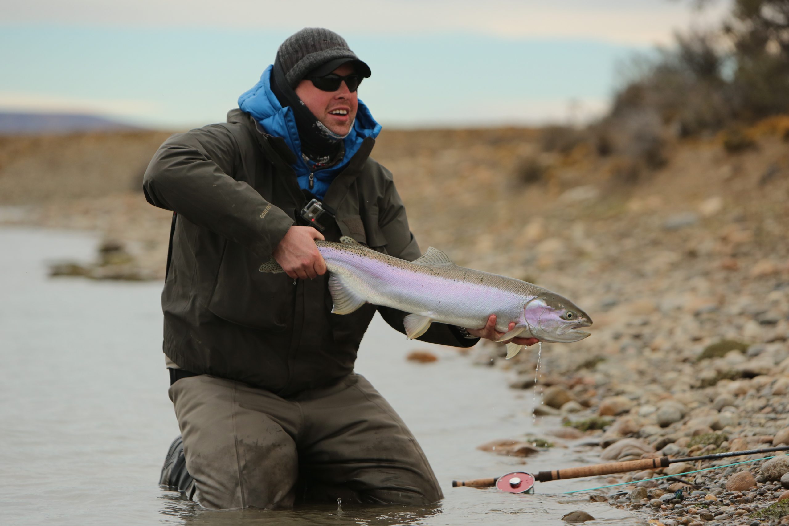 Steelhead Santa Cruz