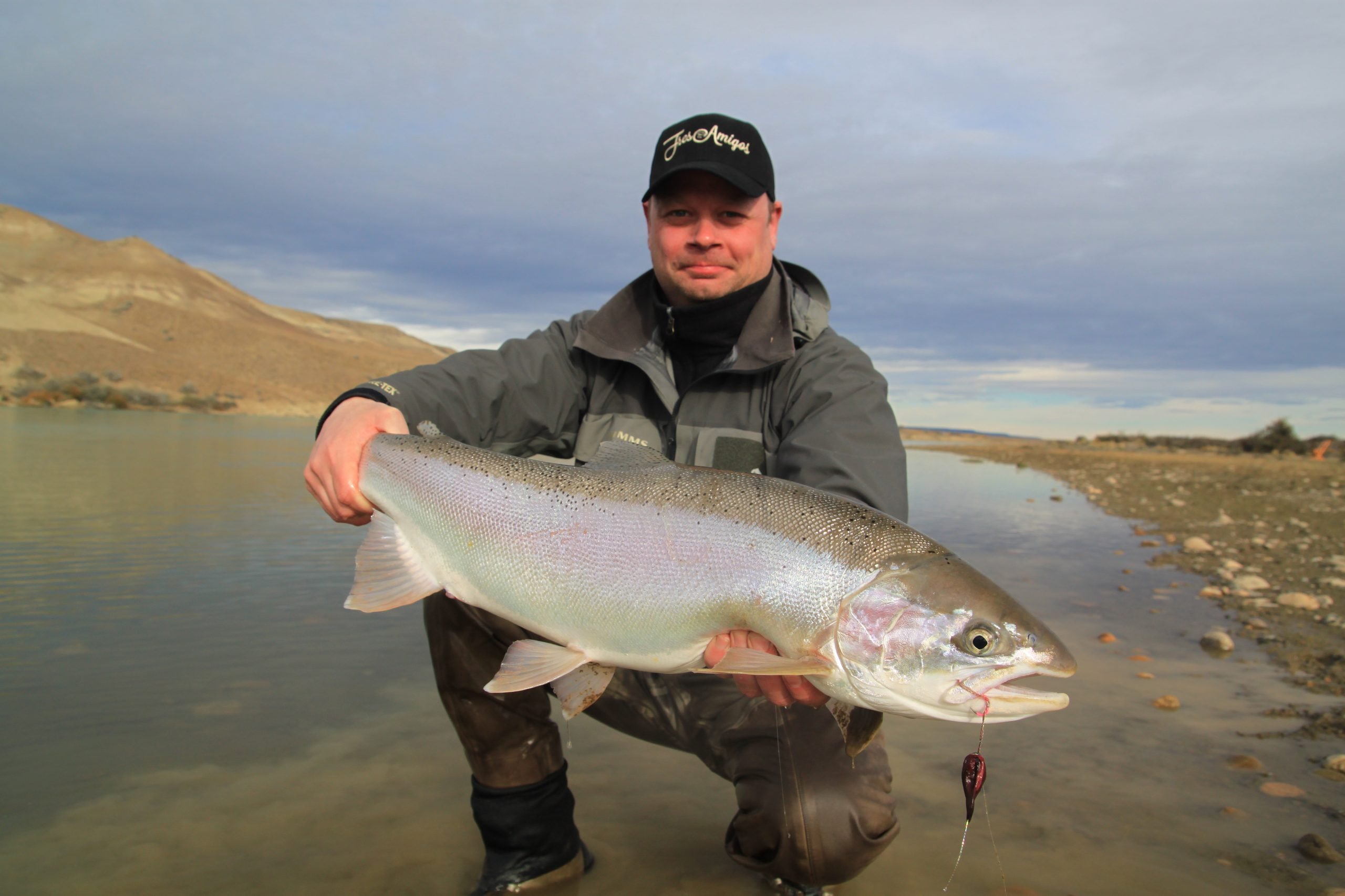 Steelhead Santa Cruz