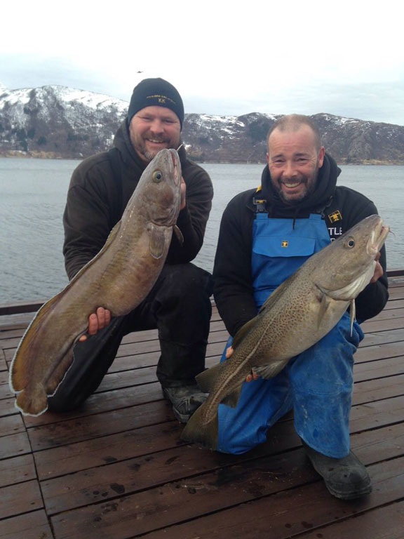 Fishing Report Norway of shore caught ling