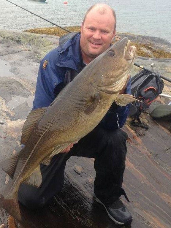Plump Shore caught Cod Fishing Report Norway