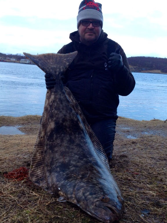 Fishing Report Norway of a shore caught Halibut