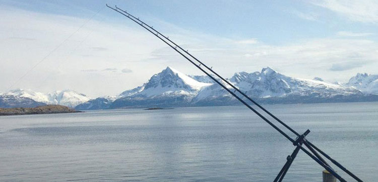 Shore fishing report Norway