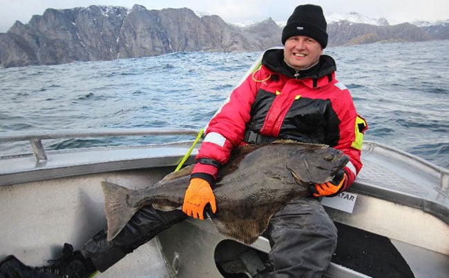 Stunning fish caught on my Norway Fishing Report