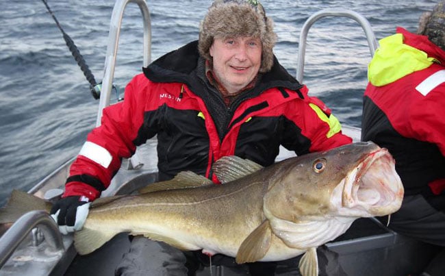 One big fat Cod full Norway Fishing Report