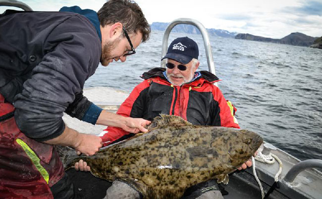 Soroya Norway Fishing Report