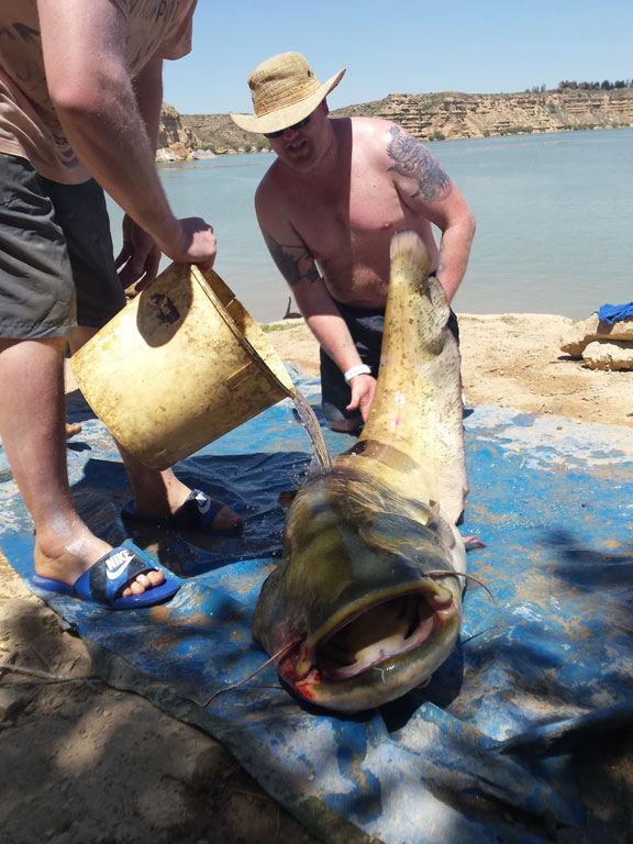Keeping the catfish wet Spain Fishing Report