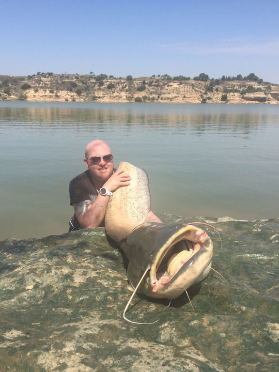Close up of a mighty catfish Spain Fishing Report