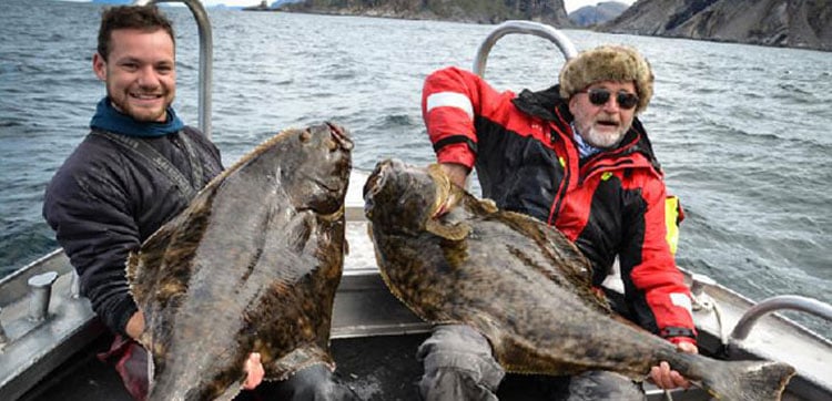 Norway Fishing Report on the large Halibut in Norway