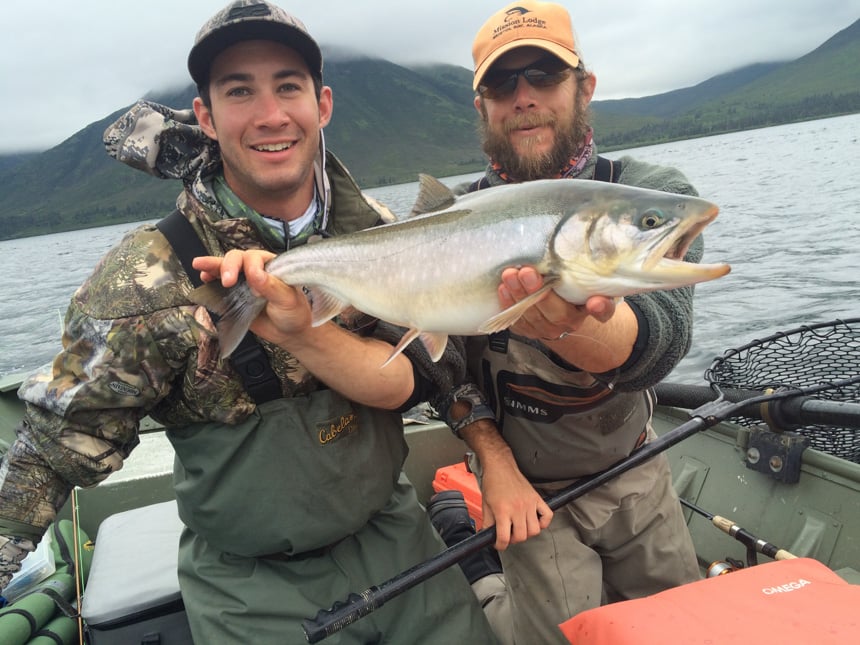 a cracking dolly caught fly fishing in alaska in its spawning colours