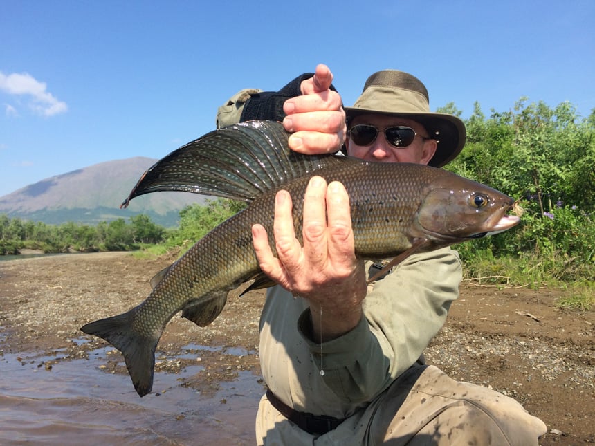 a huge grayling caught fly fishing in alaska