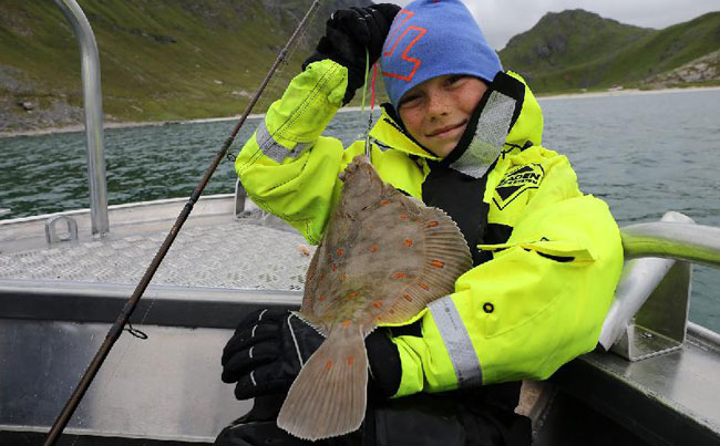 The best Plaice Norway fishing report