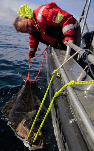 Tag and release Norway Fishing Report