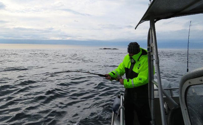 Fishing Report Norway a well bent in angler
