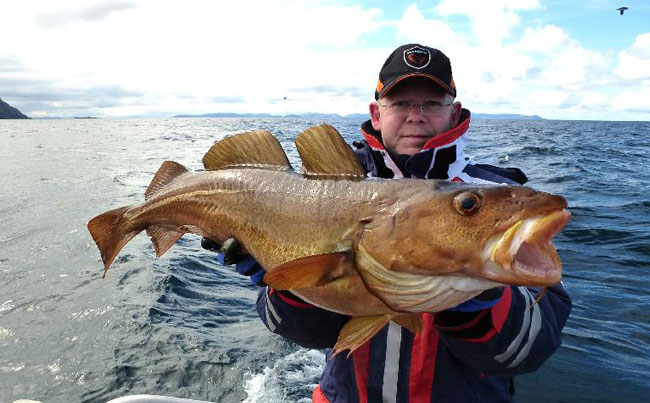 Stunning Cod Fishing Report Norway