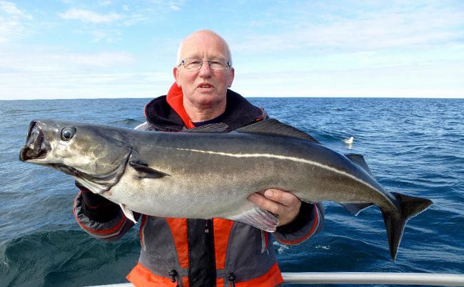 Top tips in our Fishing Report Norway