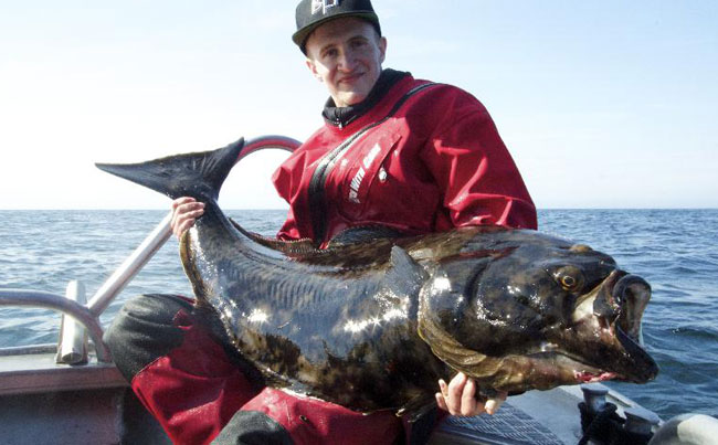 Top guide Fredriks Fishing Report Norway