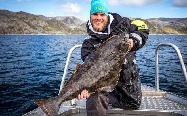 Fishing Report Norway how to catch Halibut