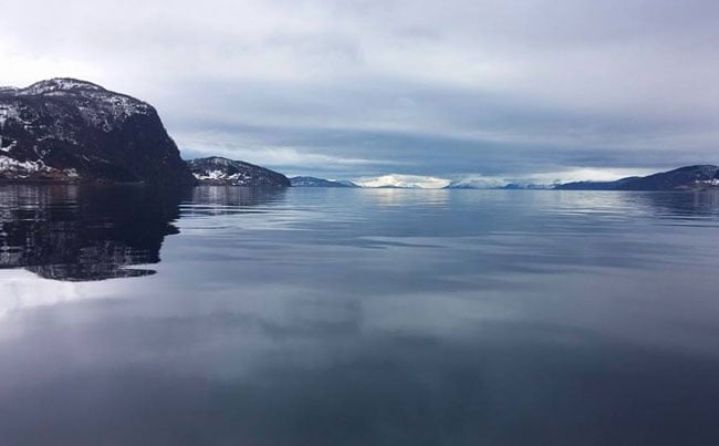 Stunning Norwegian Fjord caught Fishing Report Norway