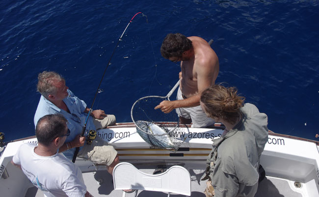 small species fishing in Azores fishing report