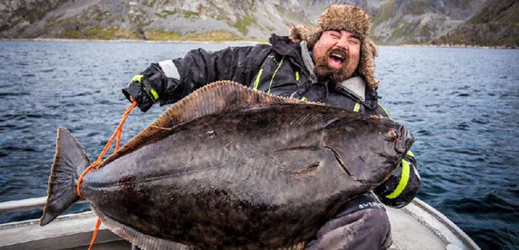 One of the best Fishing report Norway