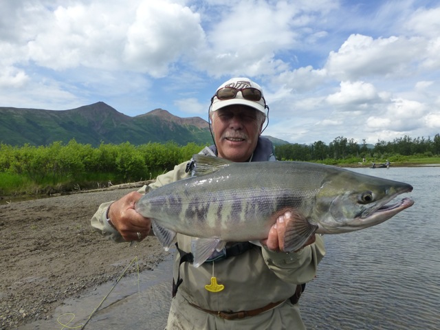 Phil Barker with a Chum Salmon Alaska bristol bay lodge report