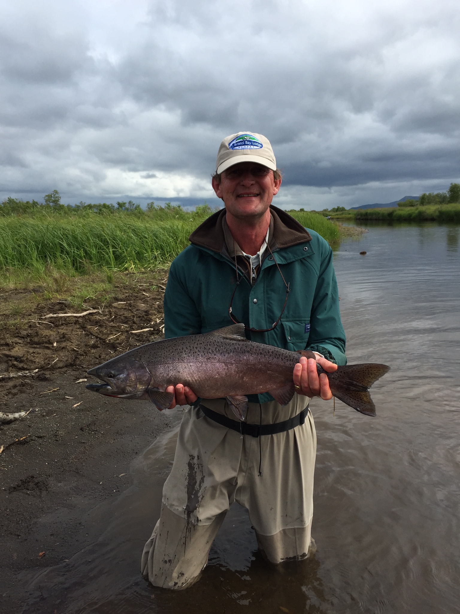 King Salmon from Alaska