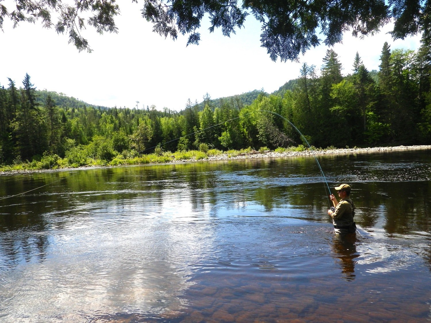 Playing Atlantic Salmon on the fly Canada Sportquest holidays