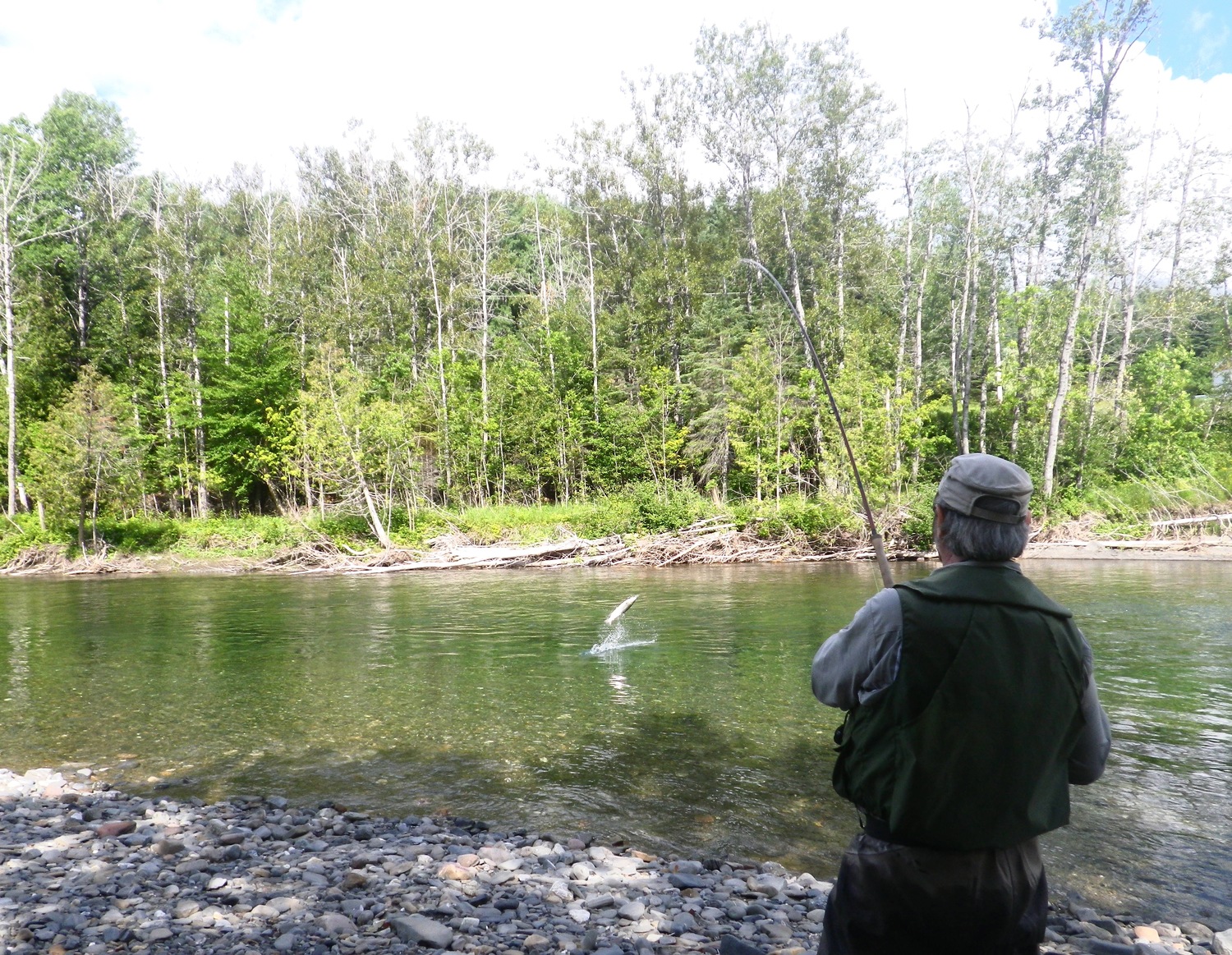 Atlantic Salmon jumps on while playing with fly rod, Sportquest Holidays