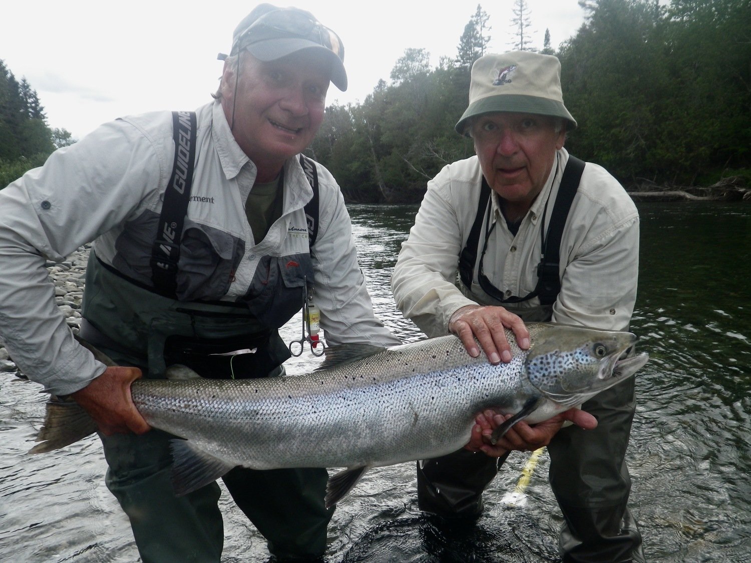 Jim releases one back to the Grand Cascapedia, Nice fish Jim!