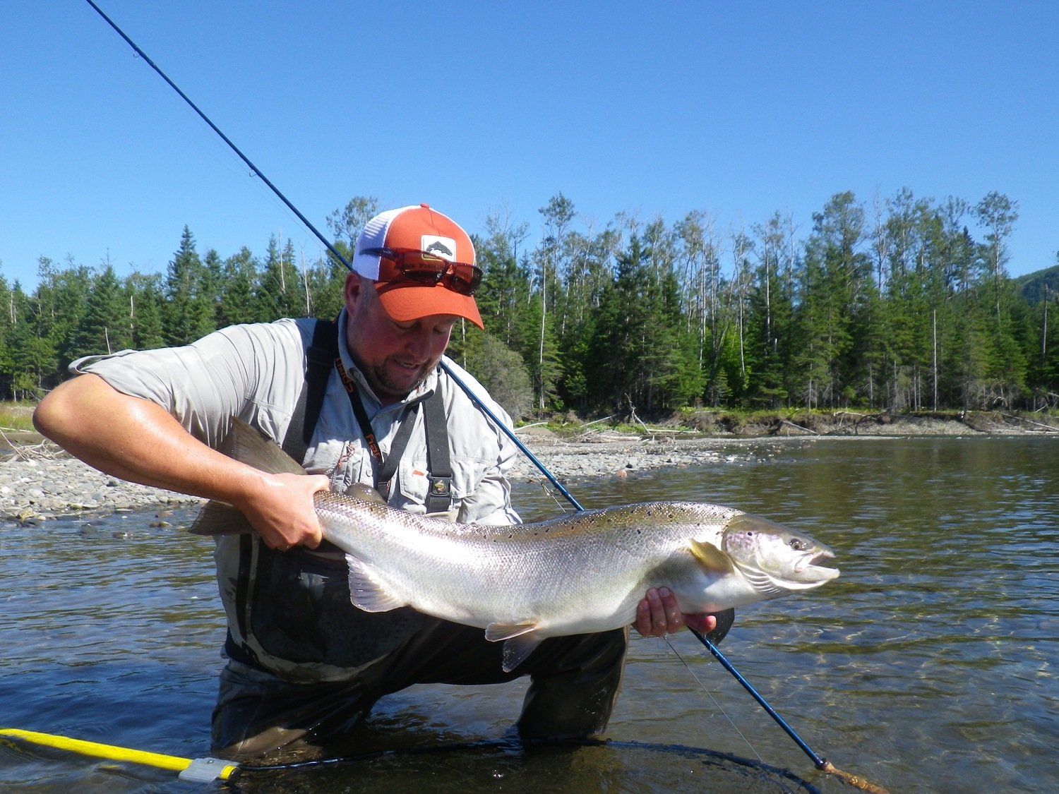Huge Atlantic Salmon from Canada Sportquest Holidays
