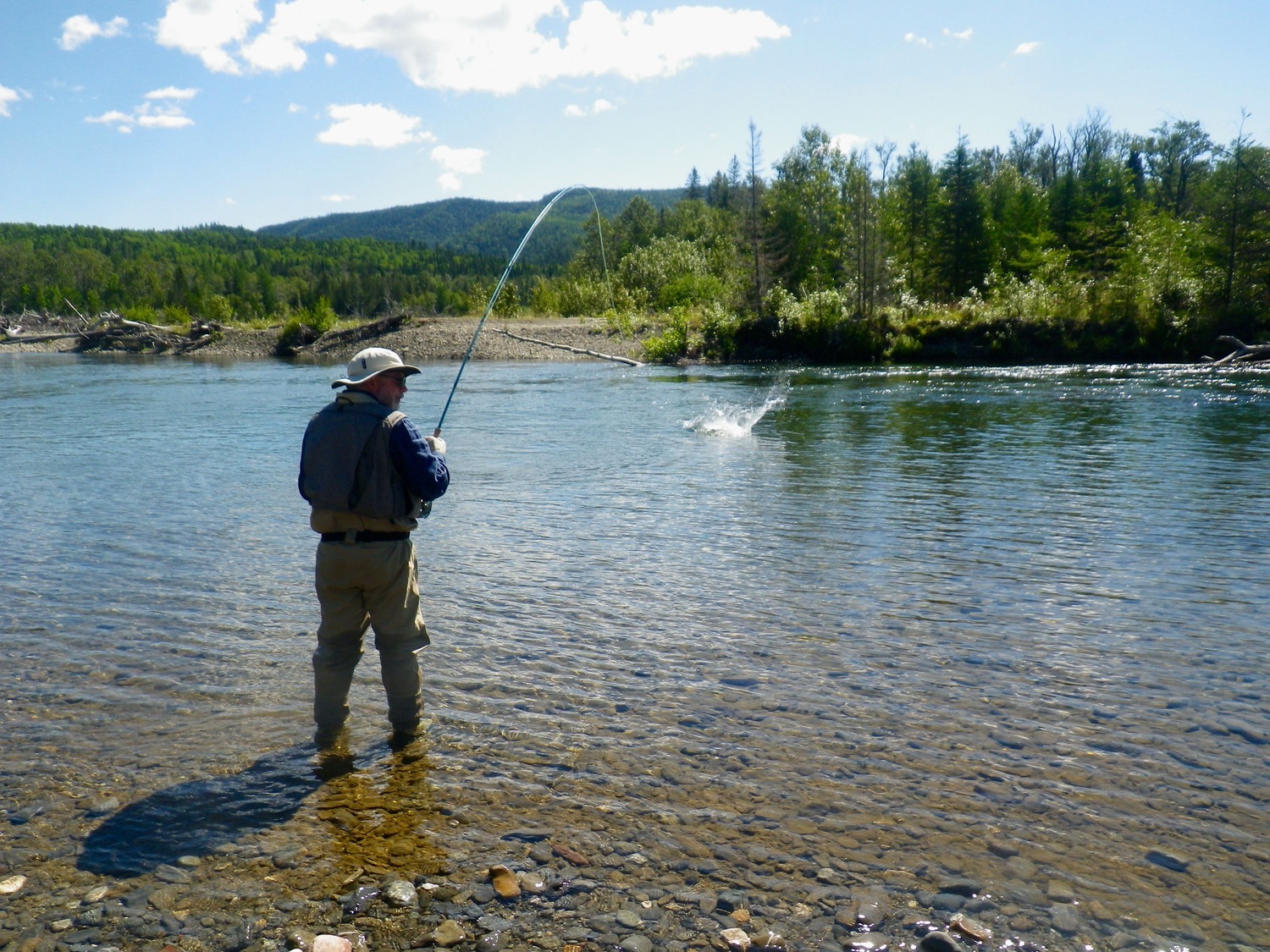 Big Atlantic Salmon jumping on the fly rod Canada Salmon Lodge Fishing River Report 