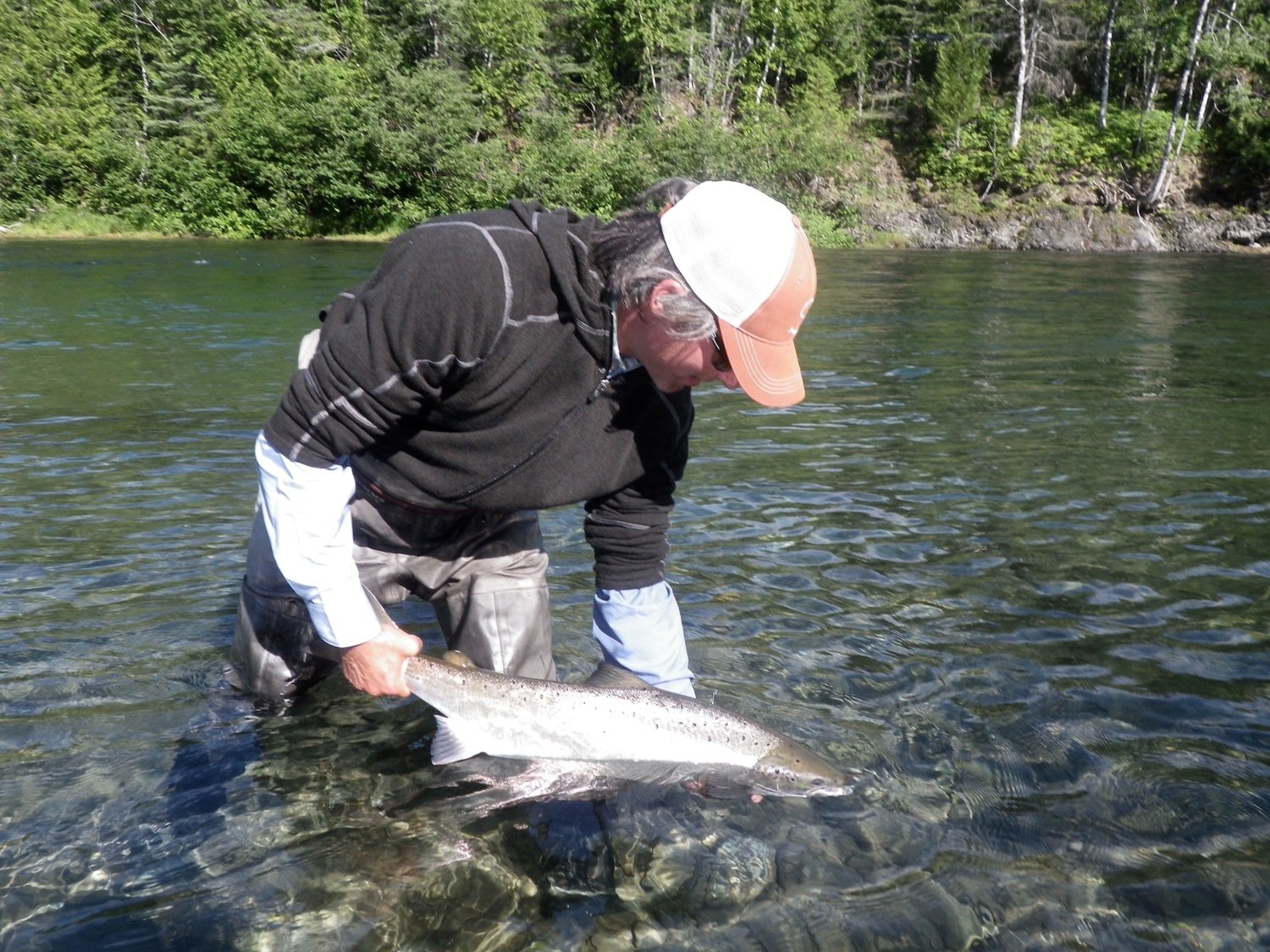 Really nice Atlantic Salmon release shot, all catch and release fishing with us.
